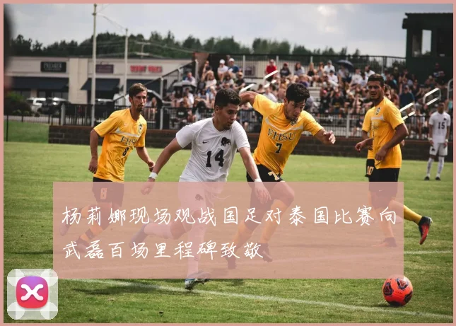 杨莉娜现场观战国足对泰国比赛向武磊百场里程碑致敬