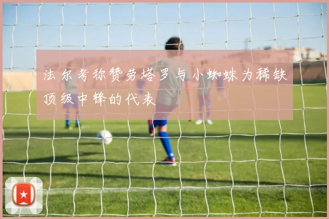 法尔考称赞劳塔罗与小蜘蛛为稀缺顶级中锋的代表